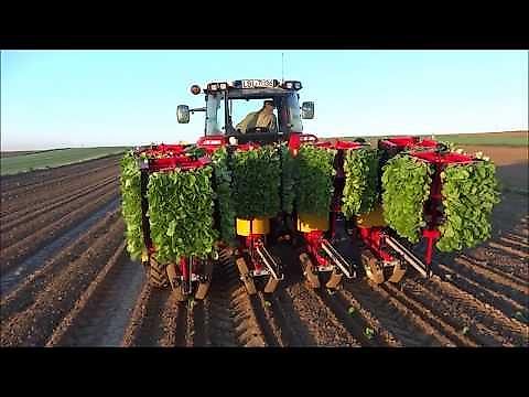 Solan Karussellpflanzmaschine S 219 Modell K