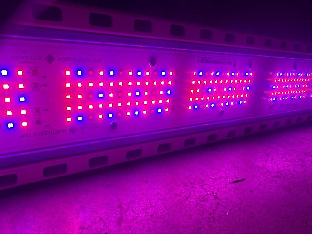 Hortilux HortiLed Top 120v19