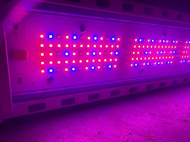 Hortilux HortiLed Top 120v19