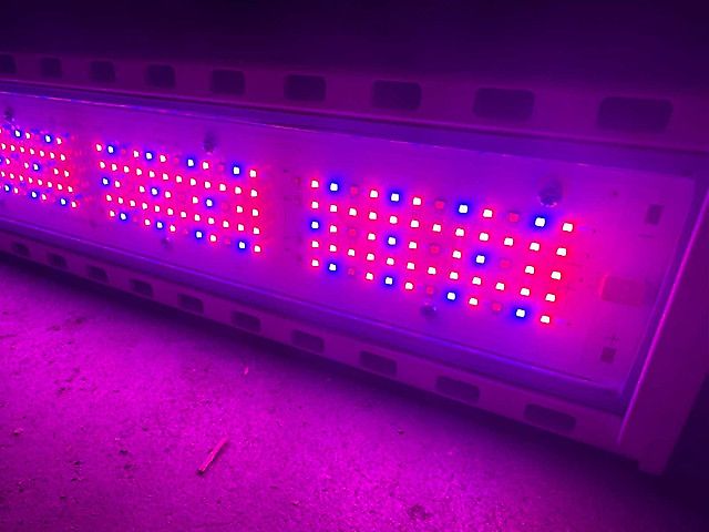 Hortilux HortiLed Top 120v19