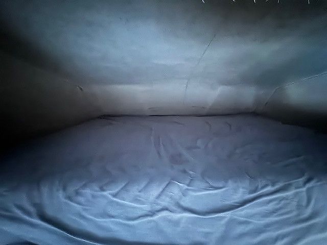 MAN TGL 8.180 Pferdetransporter LKW Wohnabteil 8,8t