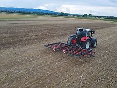 Saphir Strohstriegel ClearStar