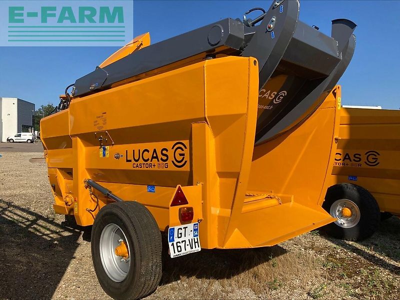 Lucas castor 60+g