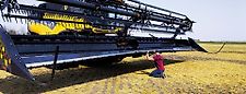 Honey Bee AirFLEX NXT AFN240