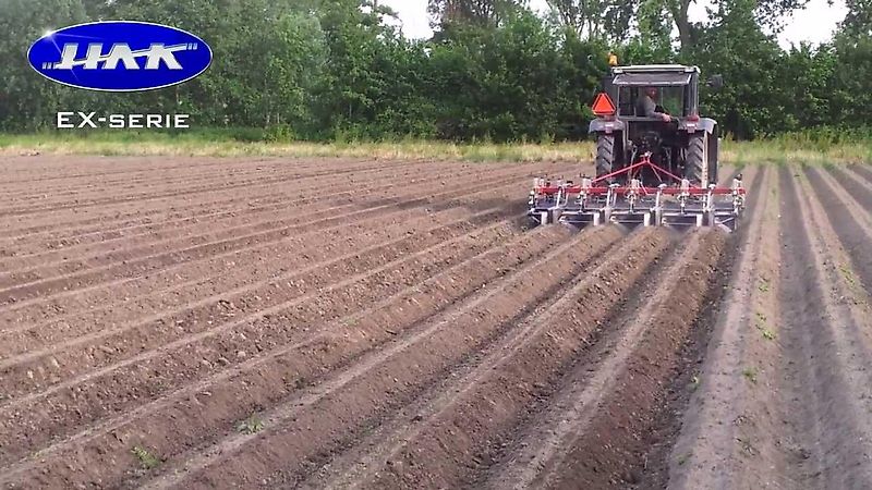 HAK HAVELAAR EX-serie EX