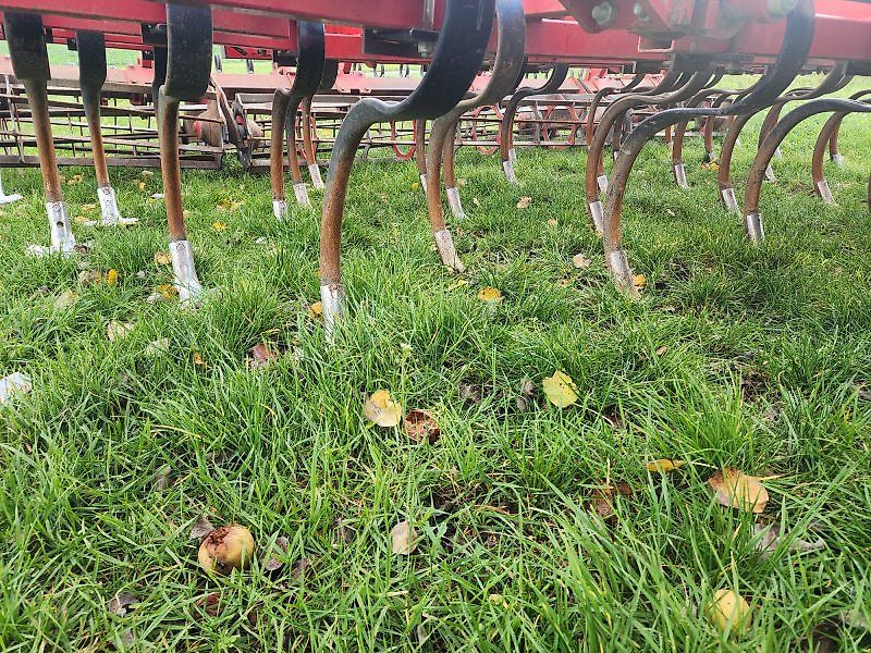 Sauerburger Libero 5000